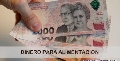 Dinero para Alimentación y Líquidos