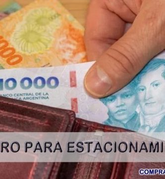 Dinero para Pagar Estacionamiento